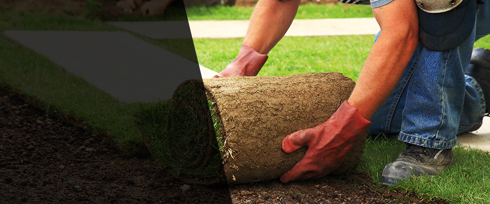 Chester Landscapers